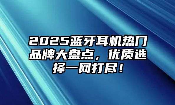 2025藍(lán)牙耳機(jī)熱門品牌大盤點(diǎn)，優(yōu)質(zhì)選擇一網(wǎng)打盡！