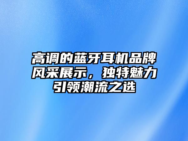 高調(diào)的藍牙耳機品牌風采展示，獨特魅力引領(lǐng)潮流之選