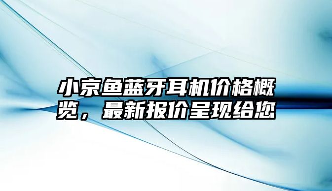 小京魚(yú)藍(lán)牙耳機(jī)價(jià)格概覽，最新報(bào)價(jià)呈現(xiàn)給您